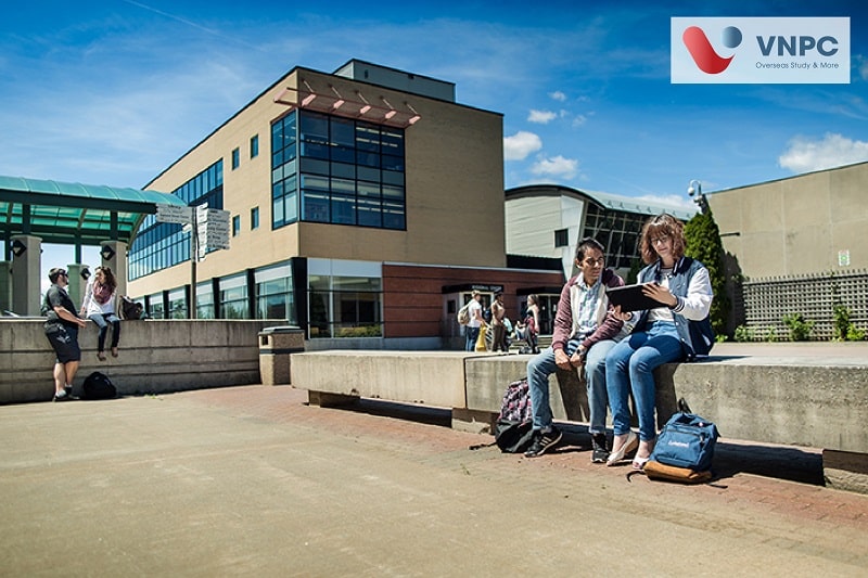 Lakehead University 